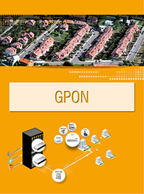 Gigabit Passive Optical Networks